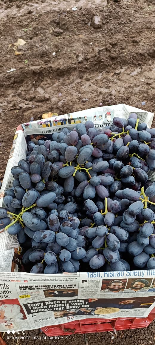 Compliance Management